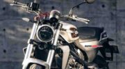 Harley-Davidson Rilis X350, Moge Ringan dengan Harga Terjangkau di Jepang