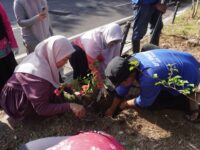 TP PKK Makassar, Dekranasda dan Pokja Bunda PAUD Dukung Program Jumat Bersih Lewat Aksi Tanam Pohon dan Lubang Biopori