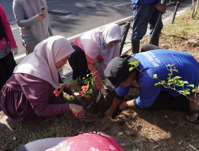 TP PKK Makassar, Dekranasda dan Pokja Bunda PAUD Dukung Program Jumat Bersih Lewat Aksi Tanam Pohon dan Lubang Biopori