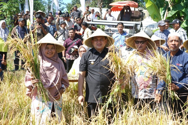 Wali Kota Munafri Ajak Warga Turun ke Sawah Berkebun
