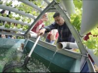 Pemkot Makassar Luncurkan Urban Farming untuk Atasi Keterbatasan Lahan dan Dorong Kemandirian Pangan