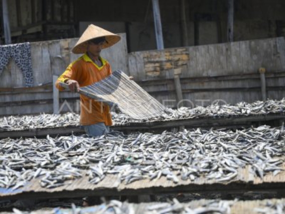 KKP Siap Fasilitasi Sertifikasi Bebas Cs-137 untuk Produk Perikanan Non-Udang