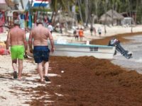 Negara-negara yang Tawarkan Kewarganegaraan Lewat Donasi, Tanpa Harus Tinggal atau Investasi