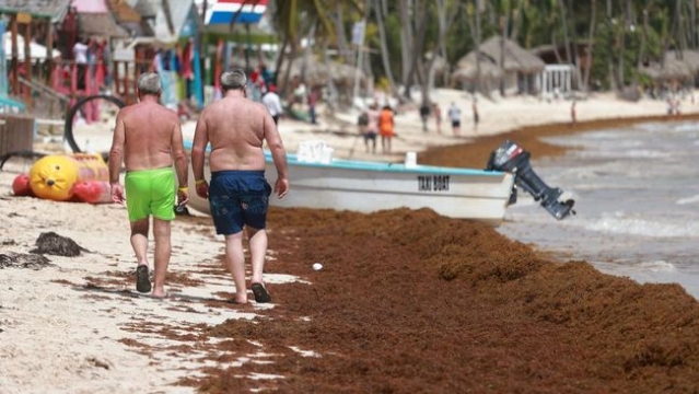 Negara-negara yang Tawarkan Kewarganegaraan Lewat Donasi, Tanpa Harus Tinggal atau Investasi